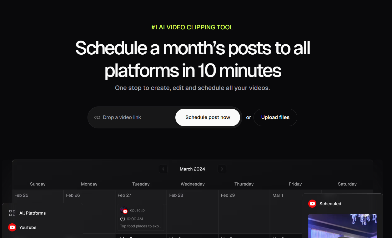 Opus Pro Landing Page Example