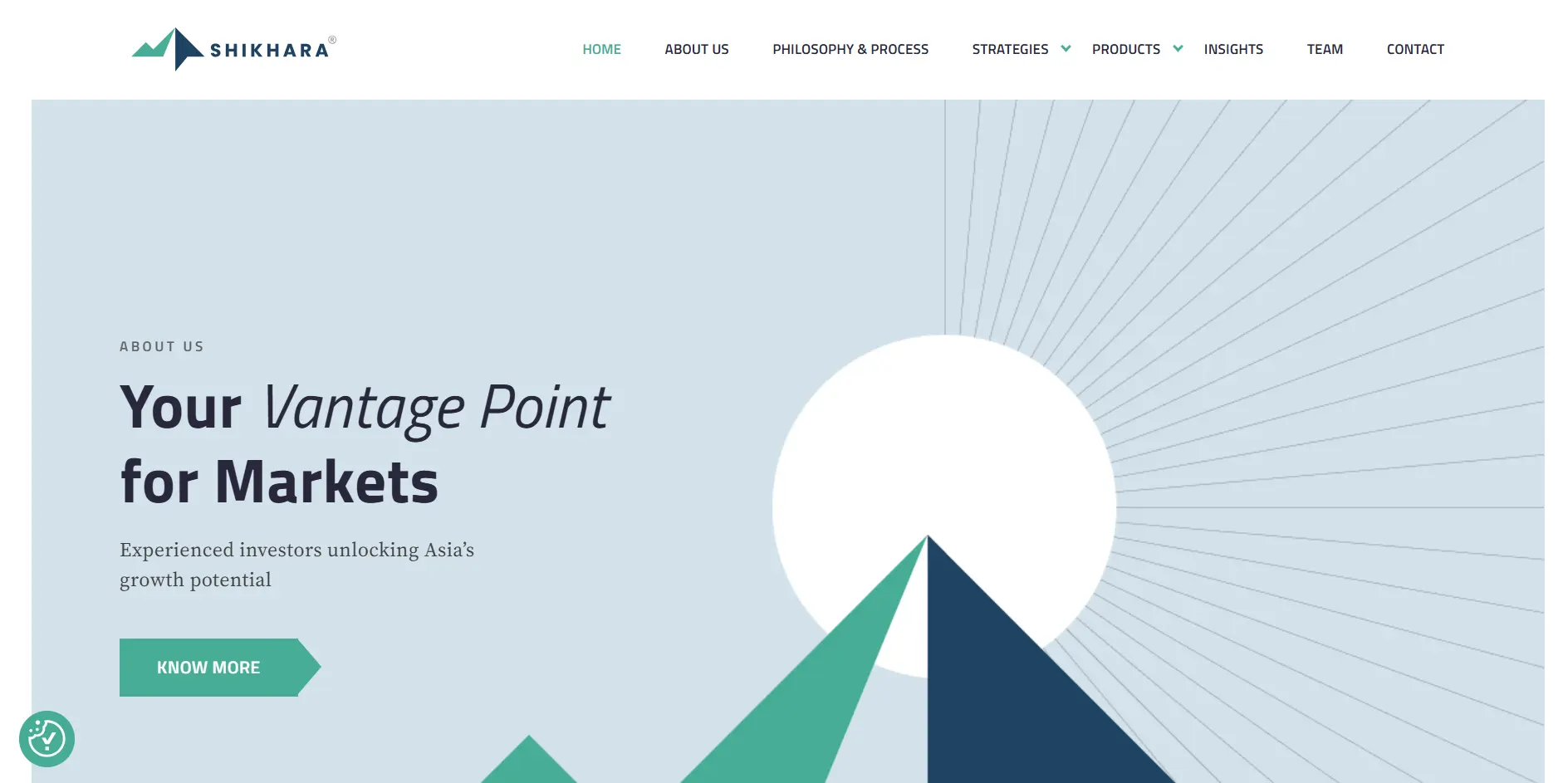 dantiv showing shikara investments website as a Swiss Design example